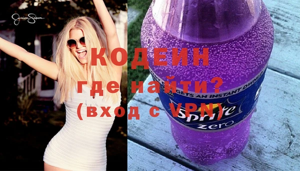 хмурый Алзамай
