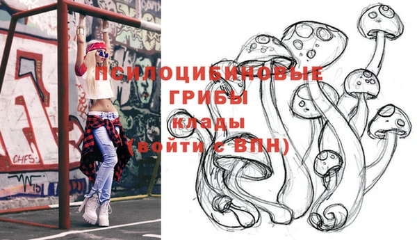 бутират Алексин