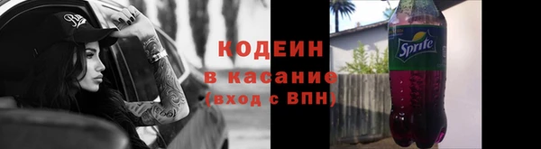 хмурый Алзамай