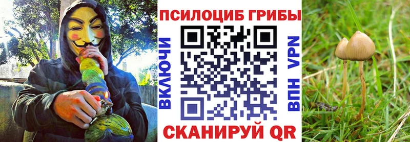 Галлюциногенные грибы Magic Shrooms  цена наркотик  Гдов 